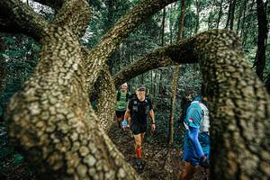 BIB: 
                            <button type="button" onclick="openModal(25393140)" class="btn btn-primary btn-sm float-right btn-popup" data-toggle="modal" data-target=".modal-high-quality">
                        <i class="fas fa-shopping-cart"></i> Add to Cart
                    </button>
                                            <button type="button" onclick="isThisMe(25393140, true)" class="btn btn-success btn-sm float-right btn-popup btn-isme hidden" data-toggle="tooltip" data-placement="bottom" title="นี่คือรูปของคุณใช่ไหม คลิกที่นี่เพื่อเอาเข้าอัลบั้ม">
                        <i class="fas fa-plus"></i> Add to album
                    </button>
                    <button type="button" onclick="isThisMe(25393140, false)" class="btn btn-warning btn-sm float-right btn-popup btn-isnotme hidden">
                        <i class="fas fa-ban"></i> Remove from album
                    </button>